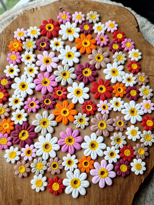 Pampilles "Pâquerettes 🌼" (sans créoles).