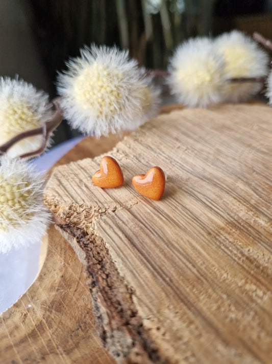 Puces d'oreilles Coeurs 🤎