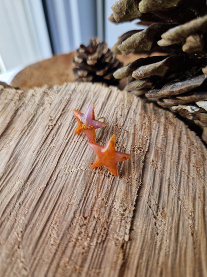 Puces étoiles ✨️