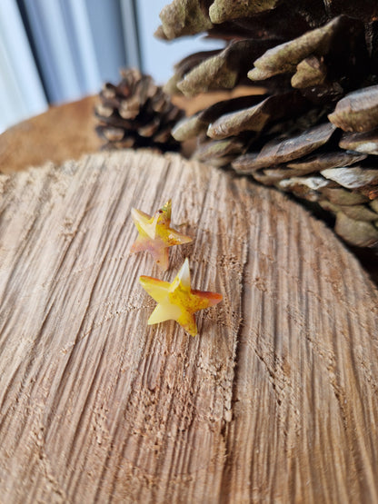 Puces étoiles 🌟