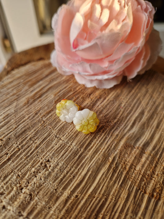 Puces fleurs 🧡💛