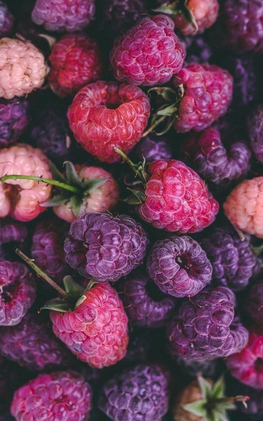 Minies pampilles "Framboise givrée 💕" (sans créoles) finition brillante.