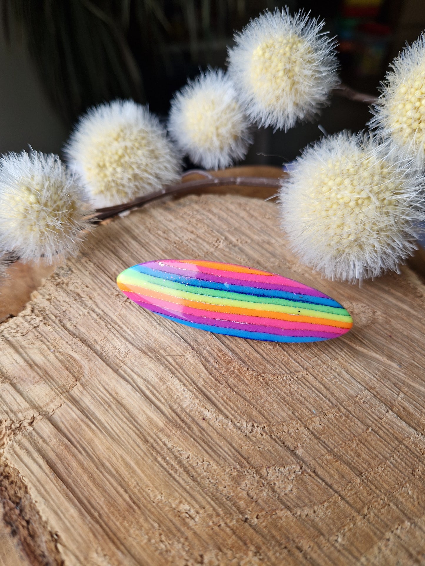 Barrette "Rainbow" 🌈