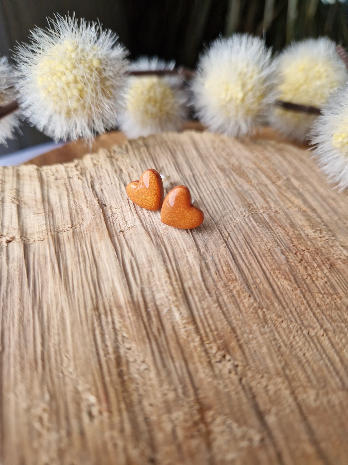Puces d'oreilles Coeurs 🤎