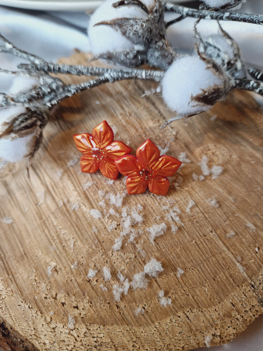 Puces moyennes "Fleurs de Noël"