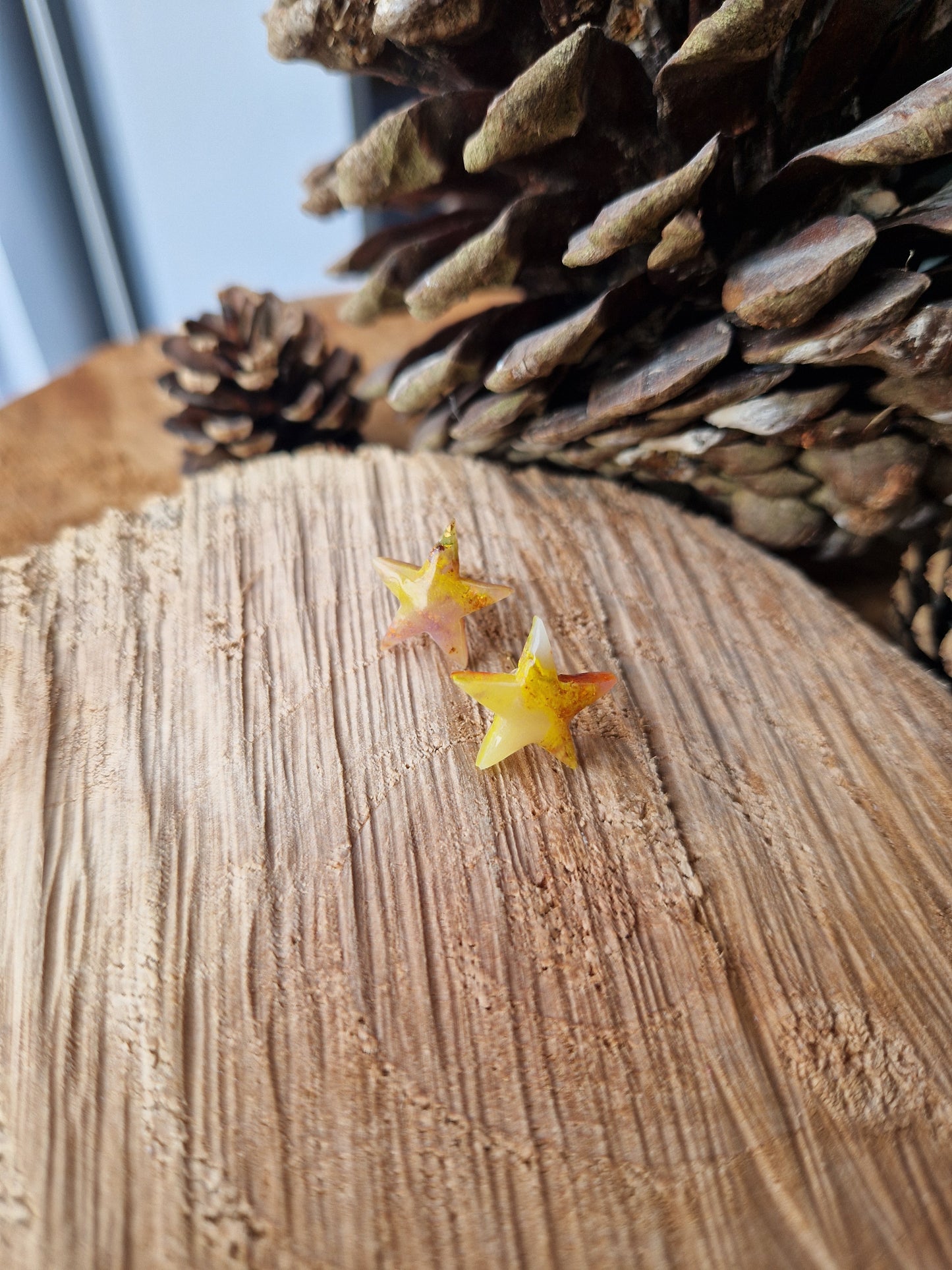 Puces étoiles 🌟