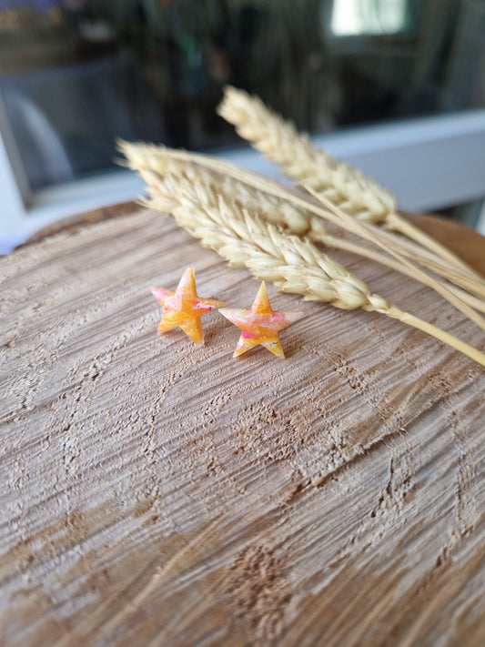 Puces étoiles 🌟