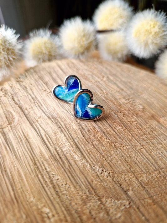 Puces "Cœurs 💙"