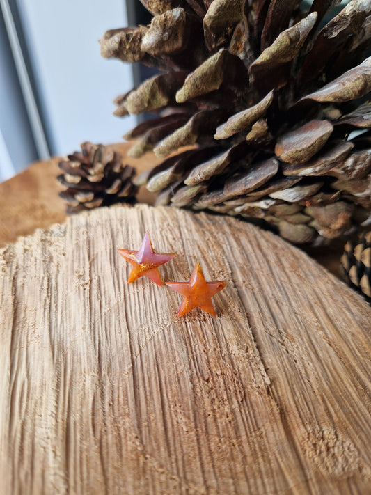 Puces étoiles ✨️